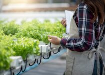 Unlocking Profitability in Vertical Farms and Aquaponics with Open Source Data