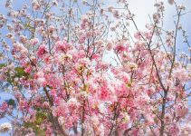 A Course In Miracles Does Not Condemn