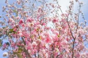 A Course In Miracles Does Not Condemn