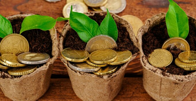 Coins stack of money and growing plant, financial concept