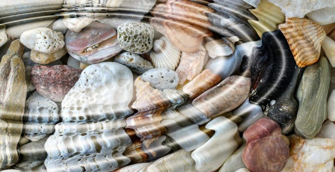 Minerals and shells