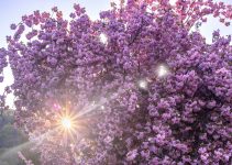 God Wants All Humans to Experience Financial Prosperity and Abundance