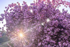 God Wants All Humans to Experience Financial Prosperity and Abundance