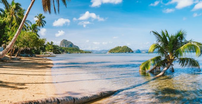 Sandy Beach with fallen palm tree on corong beach, El Nido, Palawan, Philippines