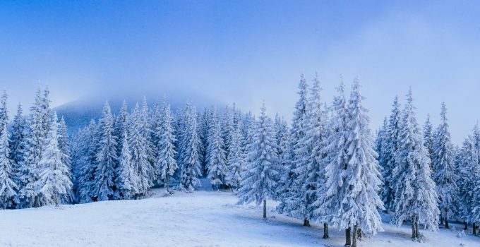wonderful winter landscape