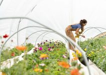 Post-Scarcity: Automation, Food Tech, and the Infrastructure of Abundance Post-Scarcity: Automation, Food Tech, and the Infrastructure of Abundance
