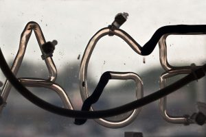 Longevity Escape Velocity