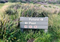 Futurism vs. Future Studies: Two Ways of Thinking About the Future