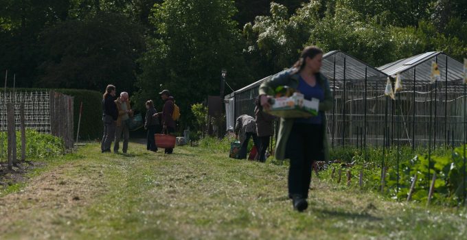 A woman carries produce through a community garden with greenhouses